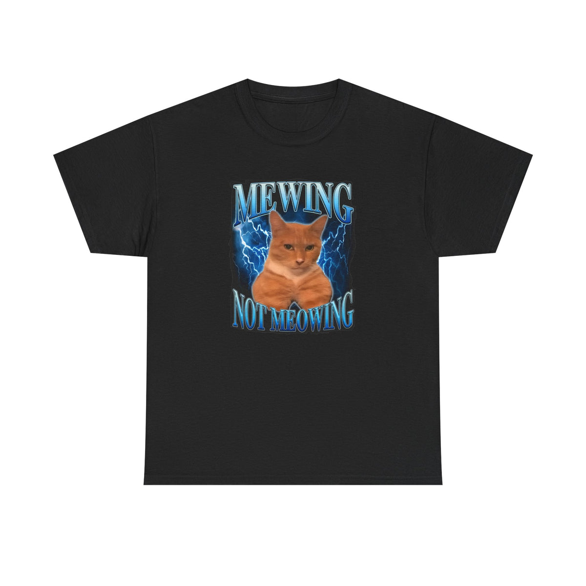 Mewing Not Meowing