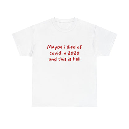 Maybe I Died of COVID in 2020