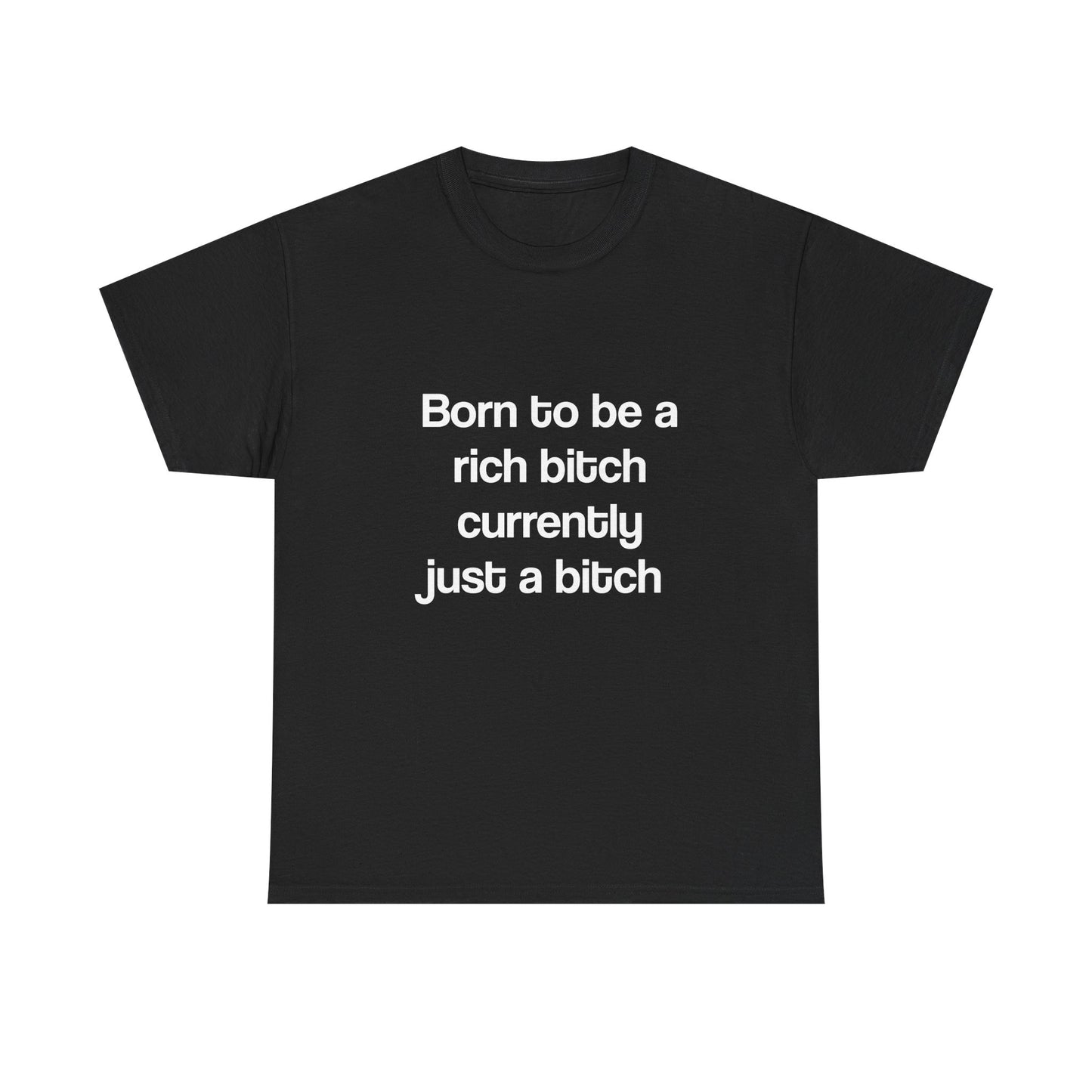 Born to Be a Rich Bitch, Currently Just a Bitch